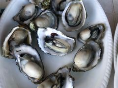 -胖大嫂渔家排档·全海景餐厅(渔村店)