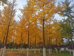 -绿堤公园