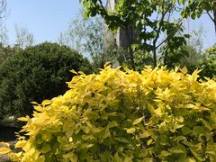 -武清南湖绿博园