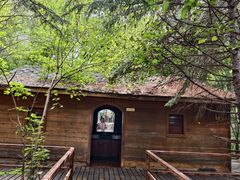 -五营红松林海景区