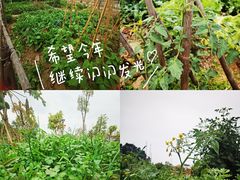 -海珠儿童公园