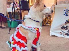 -佛山京华广场MALL