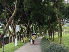 -紫马岭公园