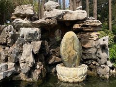 -上海醉白池公园
