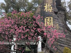 -无锡梅园公园