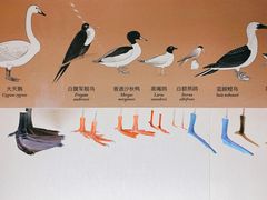 -上海自然博物馆