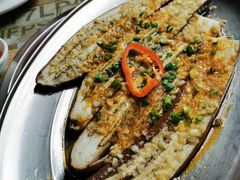-石岐乳鸽村(南海第三分店)