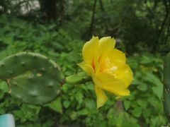-乌江画廊(彭水苗族土家族自治县)