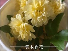 -CoCo壱番屋(久光百货店)