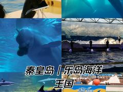 -秦皇岛乐岛海洋王国