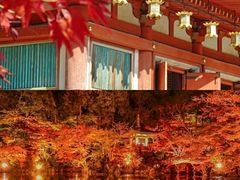 -醍醐寺
