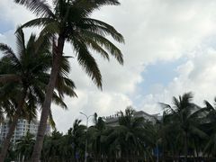 -西秀海滩公园
