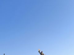 -中国农业博物馆
