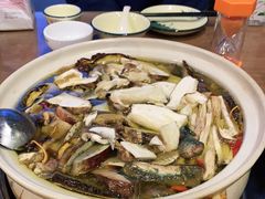 -杨记山珍鸡煲菌汤锅