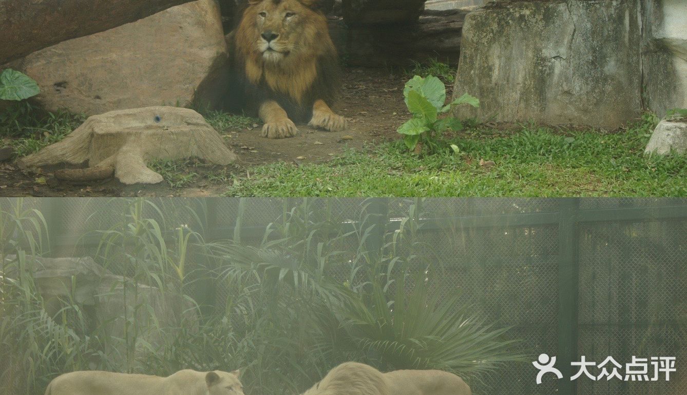 广州·越秀｜广州动物园🦍门票20元🦍