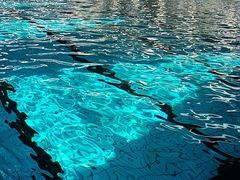 -同济大学四平路校区游泳馆