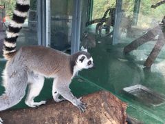 -泉州海丝野生动物世界
