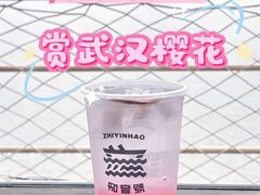 -武汉知音号