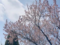 -童牛岭风景区