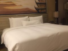 -长沙富力万达文华酒店