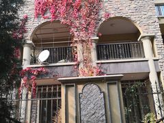 -天鹅湖生态旅游风景区