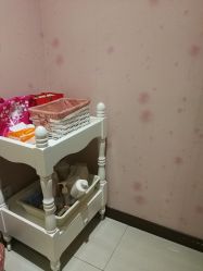 -成都伊贝丝美容美胸SPA会所