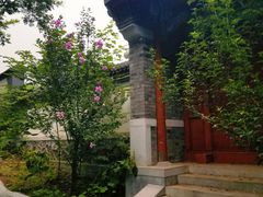 -阳台山自然风景区