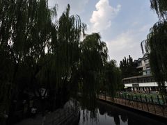 -环城公园
