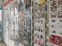 -熊猫邮局(少城店)