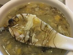 -新世纪大酒楼·30年南海菜