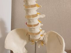 -修申骨雕小颜脊柱骨盆管理产后修复