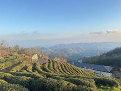 -长沙黑麋峰国家森林公园