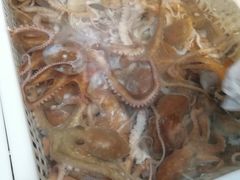 -盒马鲜生(红莲店)