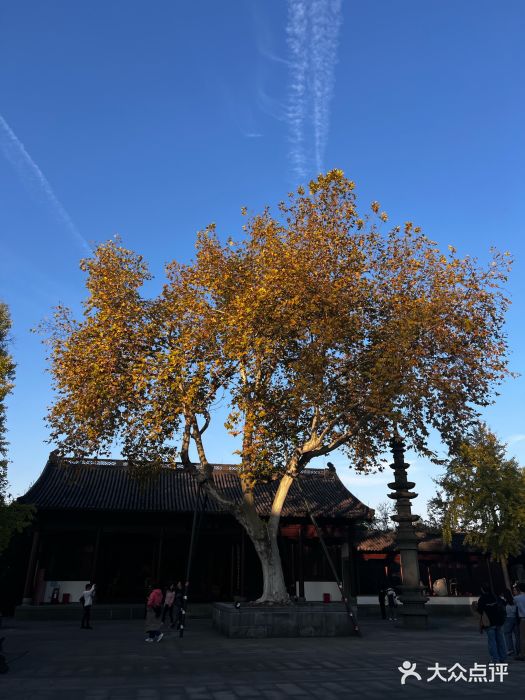 钱王祠图片