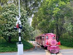 -常州淹城野生动物世界