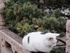 -西园戒幢律寺