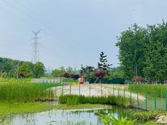 -佛手湖郊野公园