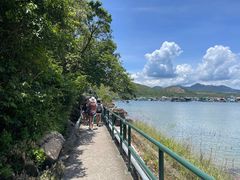 -南丫岛