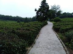 -南京市江宁方山