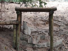 -广州长隆国际大马戏