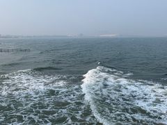-老龙头景区