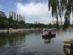 -西宁市人民公园(城西区)
