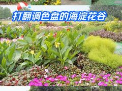 -海淀公园