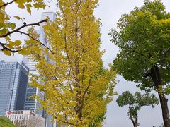 -贵州省博物馆(新馆)