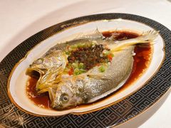 -谦默府· 现代潮粤菜(外滩店)