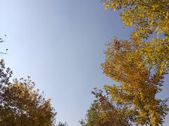 -仁寿山