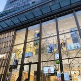 上海攻略|华丽丽的出游