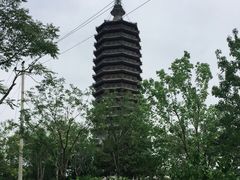 -西海子公园