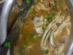 -全乐鱼馆·淳牌有机鱼直营店