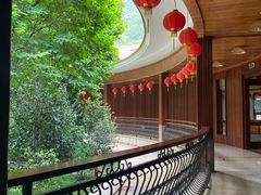 -雁南飞茶田景区